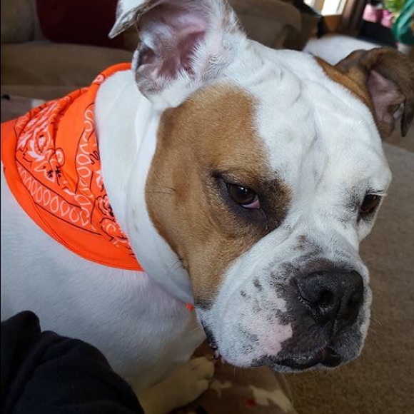 Meet your Posher, Lisa - Picture 7 of 8